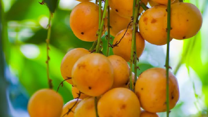 夏季如何快速減肥？夏季減肥食譜推薦