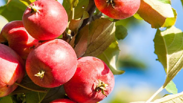 夏季如何快速減肥？夏季減肥食譜推薦