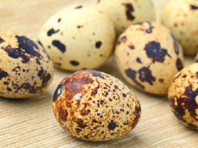 什么是養(yǎng)生減肥？養(yǎng)生減肥的方法是什么？