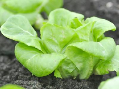 腰腹部如何減肥呢？瘦腰的方法推薦