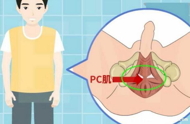 pc肌鍛煉害死我了,越鍛煉越弱(真的可以提高性功能)-易網健康<a href=http://m.henggaotouzi.com/jkys/ target=_blank class=infotextkey>養生</a>網 pc肌鍛煉害死我了,越鍛煉越弱(真的可以提高性功能)