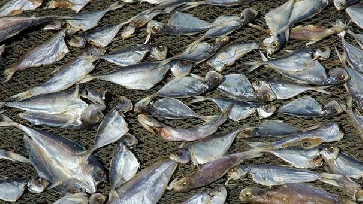 茯苓夾餅能減肥嗎？茯苓餅有減肥的功效嗎？