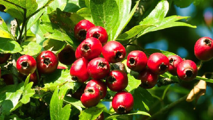 動(dòng)感單車(chē)減肥會(huì)好嗎？動(dòng)感單車(chē)減肥效果怎么樣？