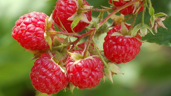 徒步可以減肥嗎？每天徒步多長(zhǎng)時(shí)間能減肥？