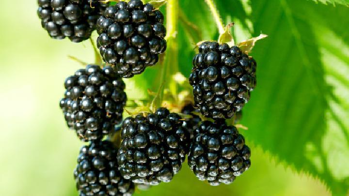 減肥什么方法好？推薦5天快速有效減肥方法