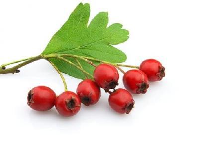 肚上的肉怎么減肥？減肥瘦肚子的方法有哪些？