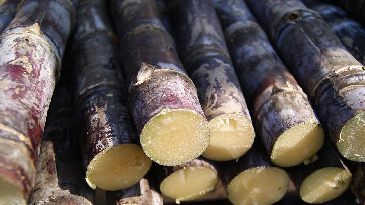 減肥蔬菜粥怎么做？減肥蔬菜粥的做法推薦