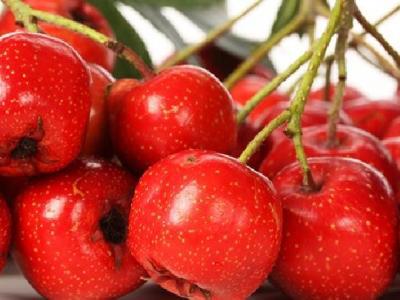 暖宮減肥方法有哪些？暖宮減肥真的可以瘦下來嗎？