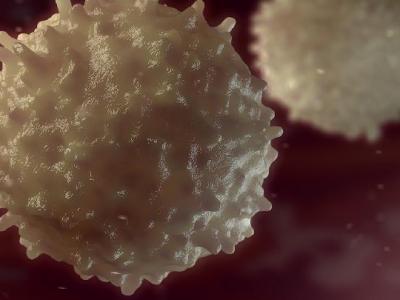 什么時候跳繩對減肥最好呢？跳繩減肥的最佳時間是什么時候？