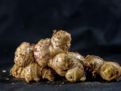 怎樣減肥不反彈？建議多吃這些低脂肪食物