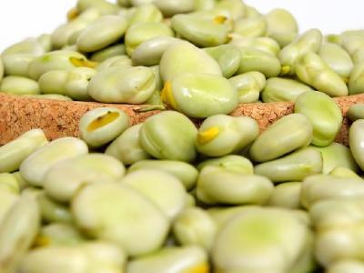 怎樣鍛煉減肥效果最好呢？運動減肥的方法介紹