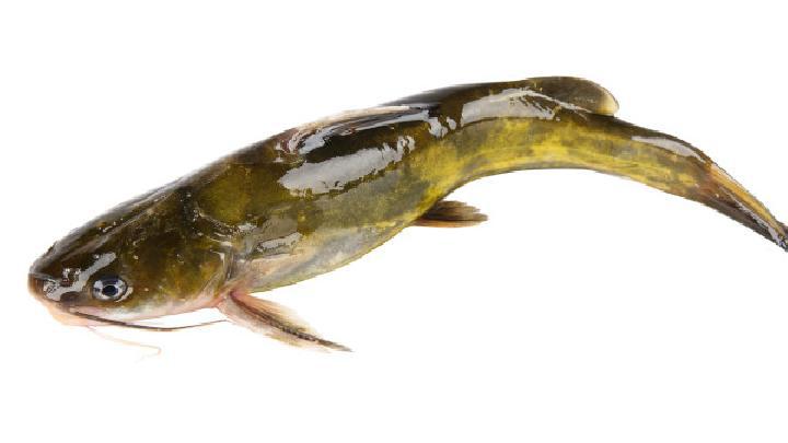 洗澡也能減肥嗎?教你洗澡瘦身的小竅門(mén)-易網(wǎng)<a href=http://m.henggaotouzi.com/ target=_blank class=infotextkey>健康養(yǎng)生</a>網(wǎng) 洗澡也能減肥嗎?教你洗澡瘦身的小竅門(mén)