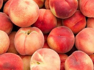 三七花減肥效果好不好？三七花泡水喝能減肥嗎？