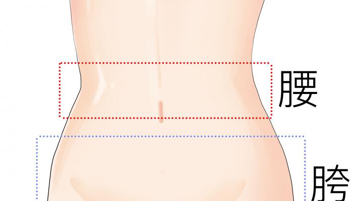 如何科學的減肥瘦身
