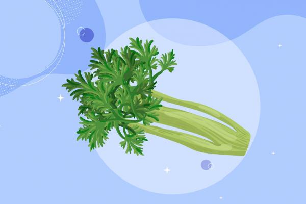 刮油最狠的四種減肥蔬菜-易網<a href=http://m.henggaotouzi.com/ target=_blank class=infotextkey>健康養生</a>網 刮油最狠的四種減肥蔬菜