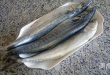 燉燕鲅魚的做法-家常味燉菜譜