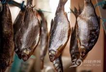 貴人多忘事？多吃哪些食物能增強記憶力