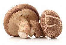 研究稱每天吃85克洋菇可助預防糖尿病