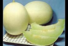 想要水果低卡又養(yǎng)顏？選擇甜瓜吧！