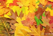 金秋十月 這七種食物千萬別錯過