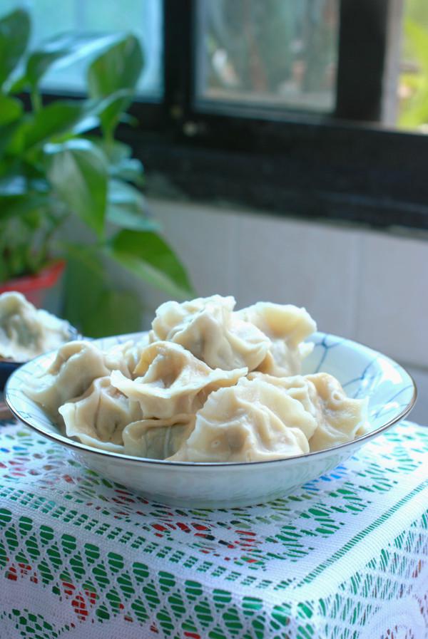 牛肉茴香水餃的做法-家常味煮菜譜