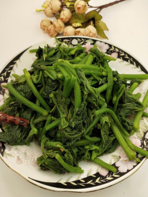 爆炒南瓜尖的做法-咸鮮味炒菜譜