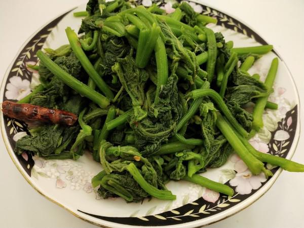 爆炒南瓜尖的做法-咸鮮味炒菜譜