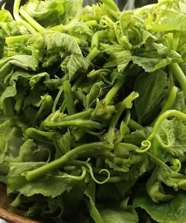 爆炒南瓜尖的做法-咸鮮味炒菜譜