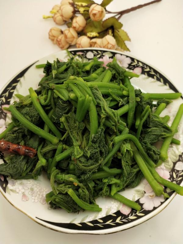 爆炒南瓜尖的做法-咸鮮味炒菜譜