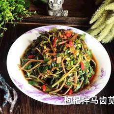 枸杞拌馬齒莧的做法-酸辣味拌菜譜