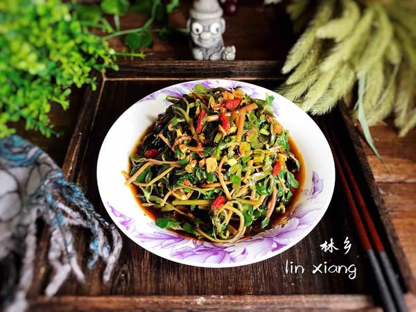枸杞拌馬齒莧的做法-酸辣味拌菜譜