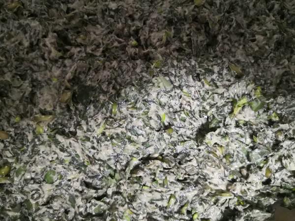 馬齒莧菜饃饃的做法-家常味蒸菜譜-易網健康養生網 馬齒莧菜饃饃的做法-家常味蒸菜譜