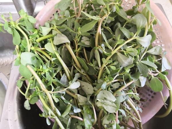 馬齒莧菜饃饃的做法-家常味蒸菜譜-易網<a href=http://m.henggaotouzi.com/ target=_blank class=infotextkey>健康養生</a>網 馬齒莧菜饃饃的做法-家常味蒸菜譜