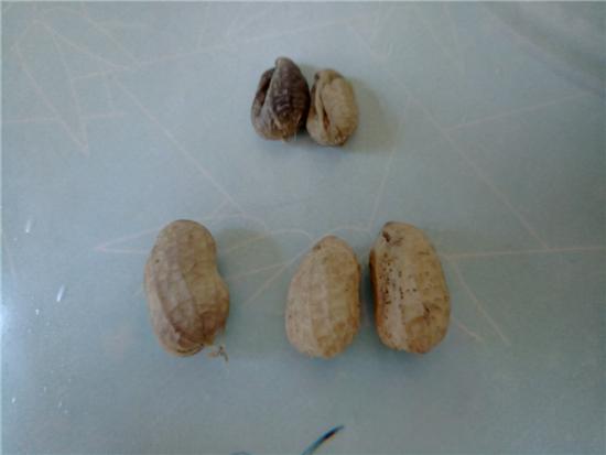 鹽水花生的做法-家常味煮菜譜