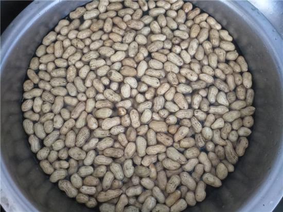 鹽水花生的做法-家常味煮菜譜