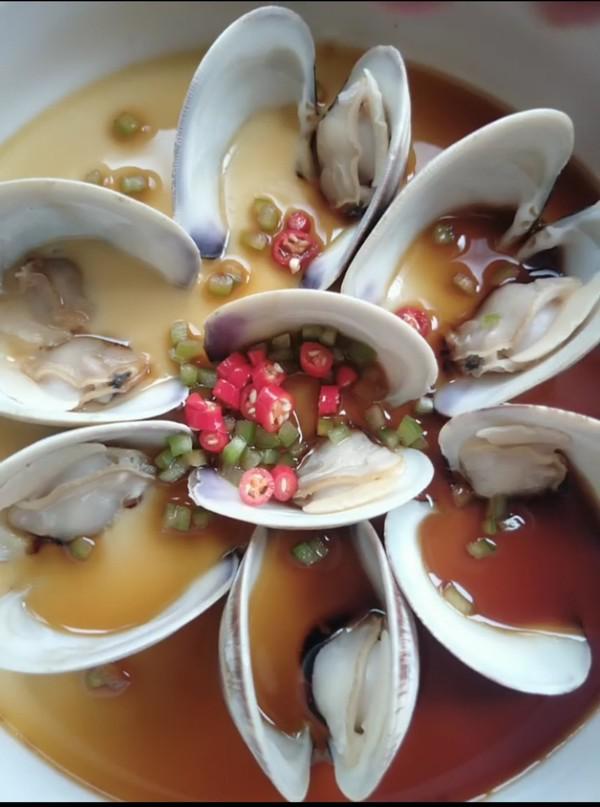 《海貝雞蛋羹》的做法-咸鮮味蒸菜譜