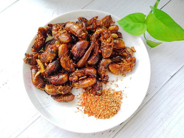 煎金蟬的做法-家常味煎菜譜-易網健康養生網 煎金蟬的做法-家常味煎菜譜