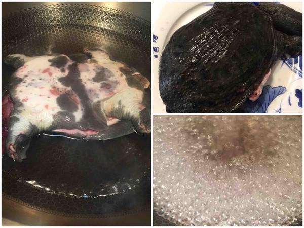 紅燒美味的做法-咸鮮味煮菜譜