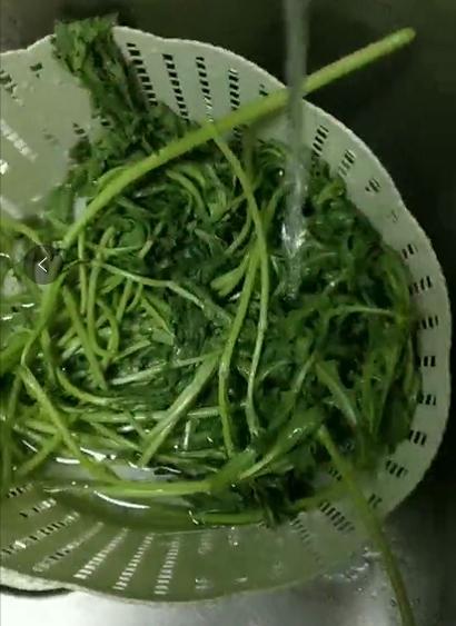 蒜香醬茼蒿的做法-家常味炒菜譜