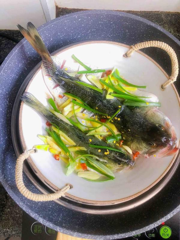 豉油蒸鱸魚的做法-醬香味蒸菜譜