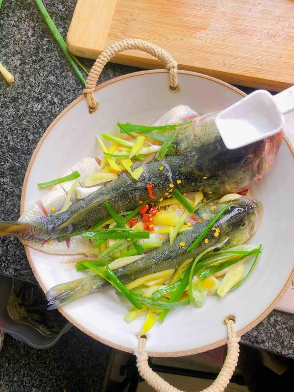 豉油蒸鱸魚的做法-醬香味蒸菜譜