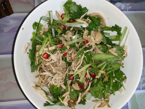 油茶籽油拌雞絲的做法-麻辣味拌菜譜