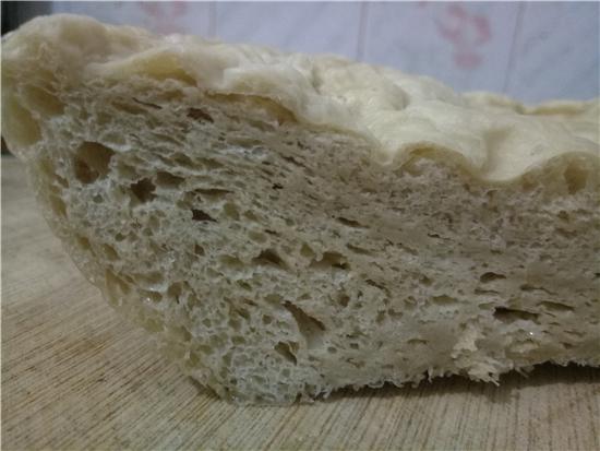 簡單自制面筋 （發酵法）的做法-家常味蒸菜譜