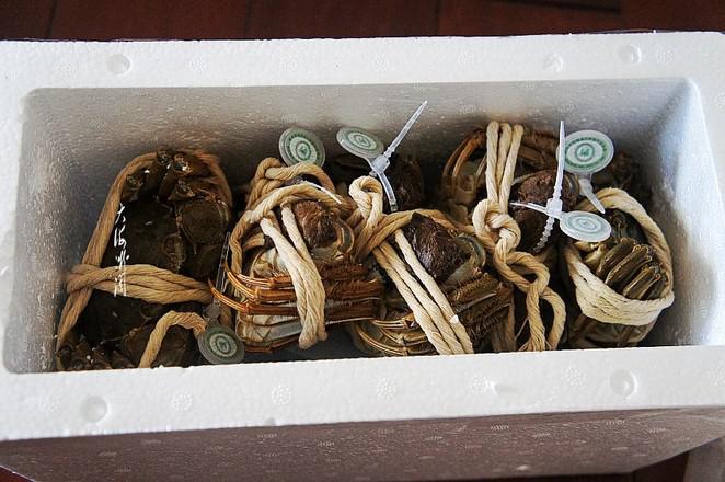 清蒸陽澄湖大閘蟹的做法-家常味蒸菜譜