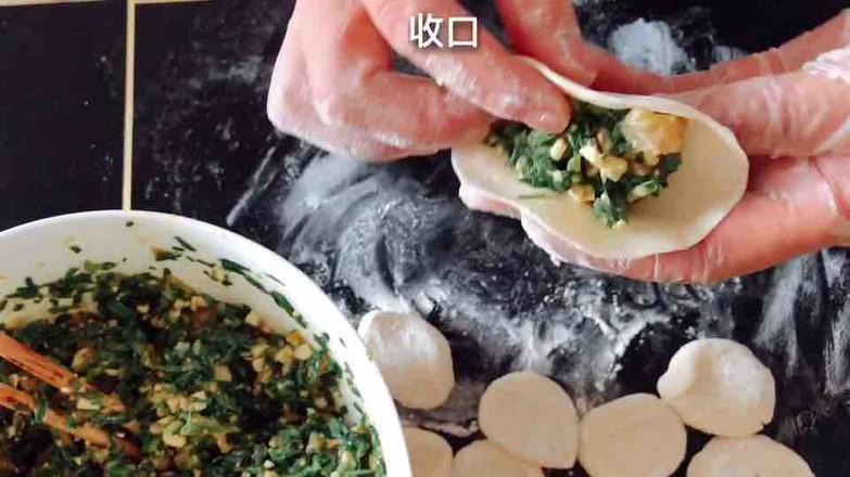 雞肉韭菜餃子的做法-咸鮮味煎菜譜