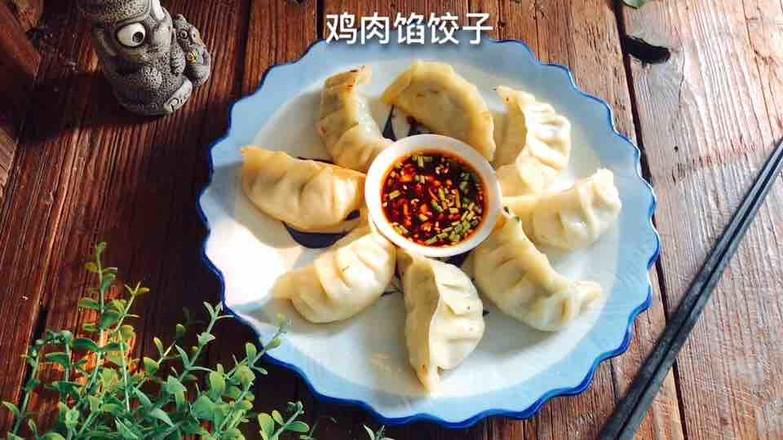 雞肉韭菜餃子的做法-咸鮮味煎菜譜