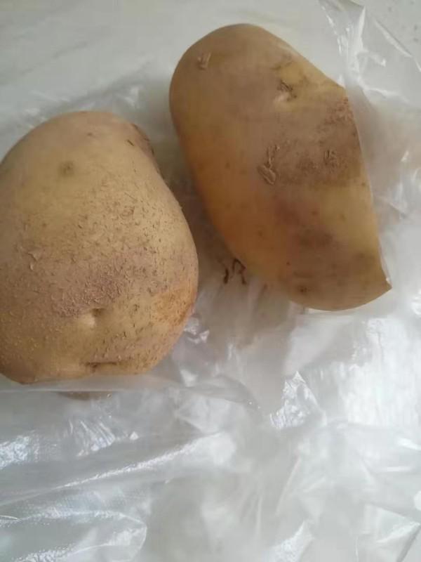 湖北武穴特色－自制Q彈土豆丸子的做法-家常味煮菜譜