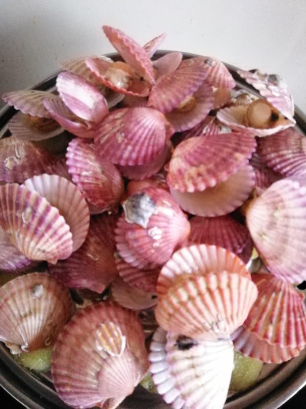 清蒸扇貝的做法-咸鮮味蒸菜譜