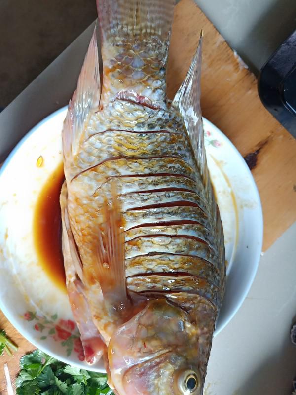 清蒸羅非魚的做法-家常味蒸菜譜