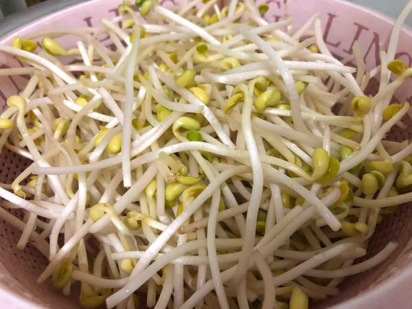 豆芽炒干子的做法-家常味炒菜譜